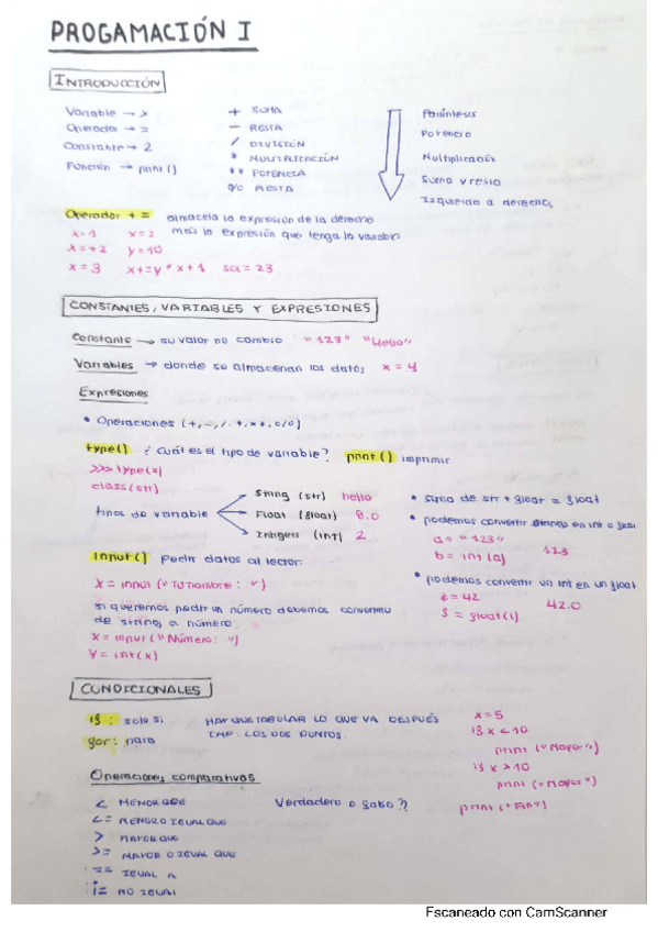 Miniatura del documento Programacion-1.pdf