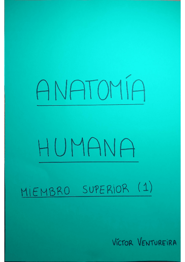 Miniatura del documento Miembro-Superior-dibujos.pdf