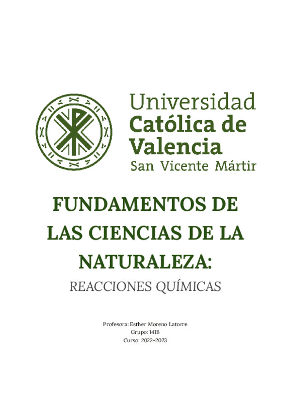 Miniatura del documento REACCIONES-QUIMICAS.pdf