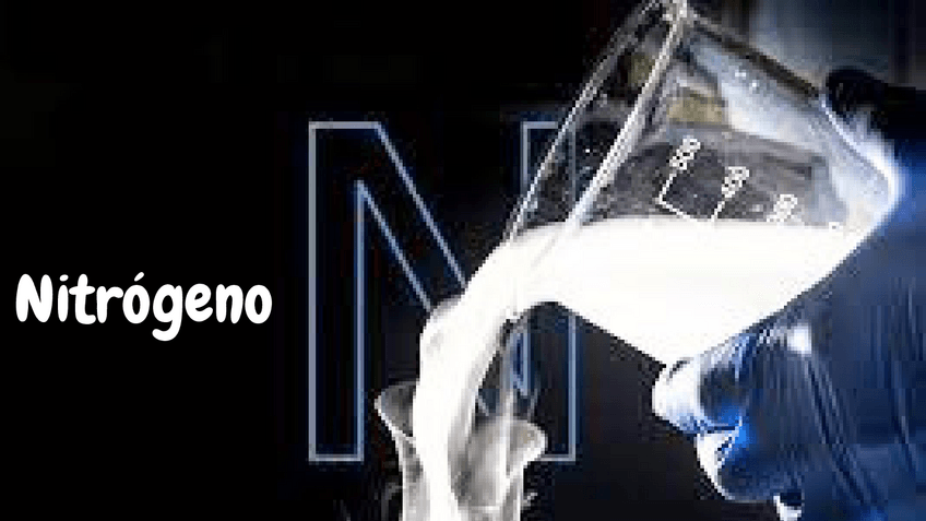 Miniatura del documento Nitrogeno.pdf