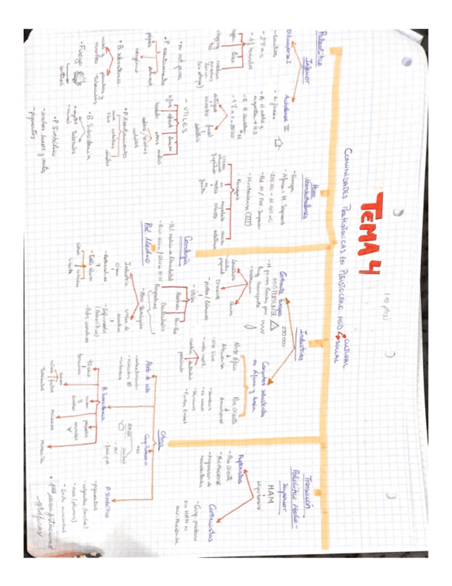 Miniatura del documento Tema-4.-COMUNIDADES-PREHISTORICAS-EN-EL-PLEISTOCENO.-MODIFICACIONES-CULTURALES-Y-SOCIALES.pdf