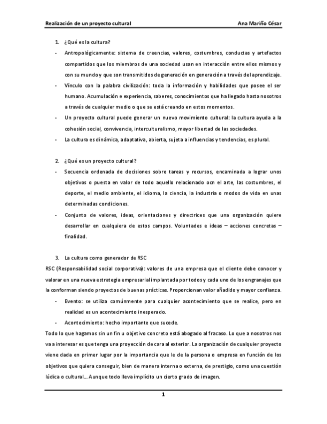 Miniatura del documento RESUMEN-PROYECTO-CULTURAL.pdf