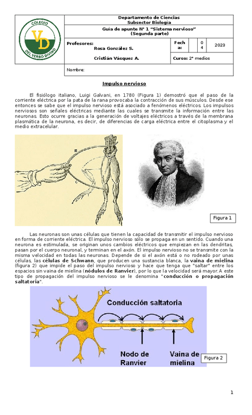 Miniatura del documento 2-medio-guia-2-2023-sistema-nervioso.docx