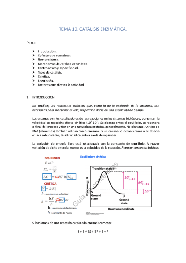 Miniatura del documento TEMA 10.pdf