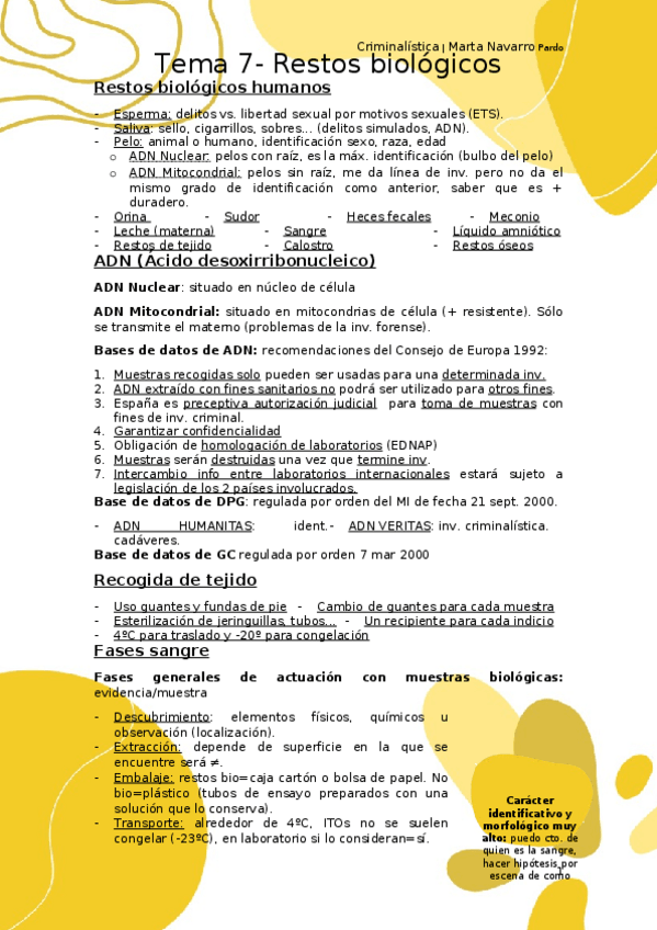 Miniatura del documento Tema-7-Teoria.docx