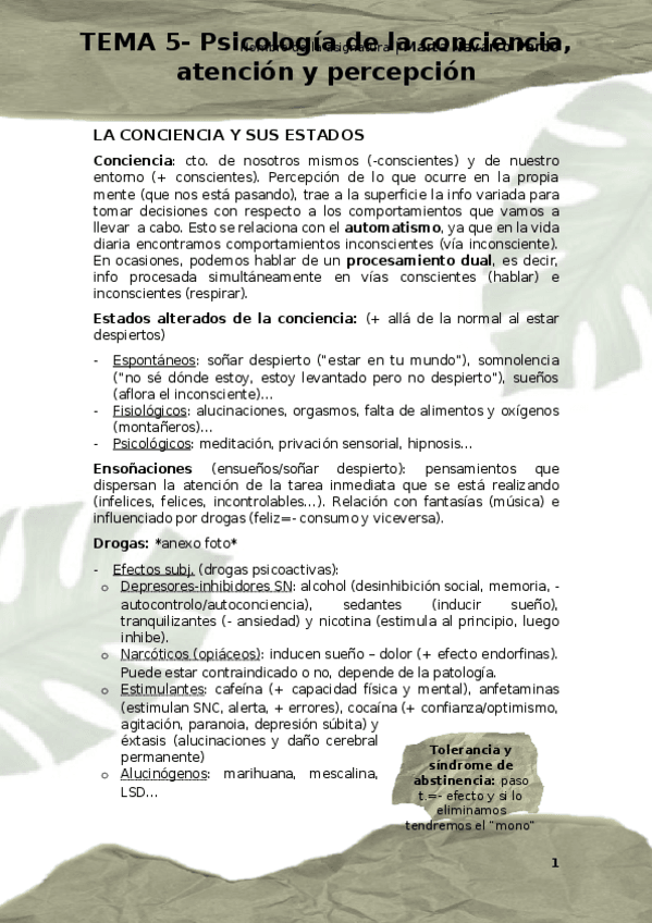 Miniatura del documento Tema-5.docx