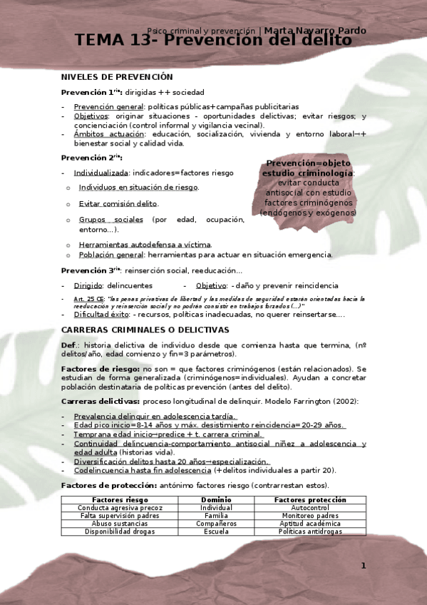 Miniatura del documento Tema-13.docx