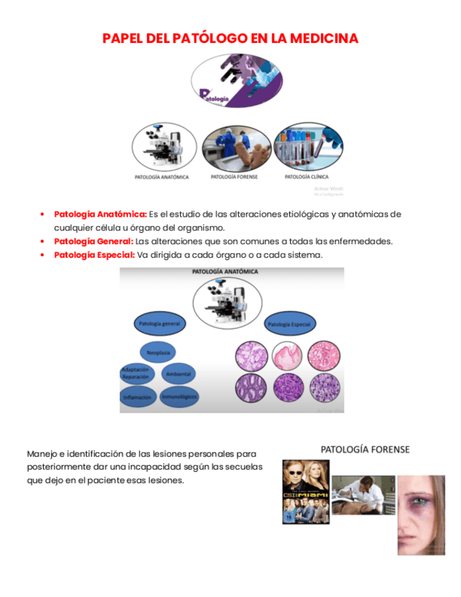 Miniatura del documento Copy-of-3-PAPEL-DEL-PATOLOGO-EN-LA-MEDICINA.pdf