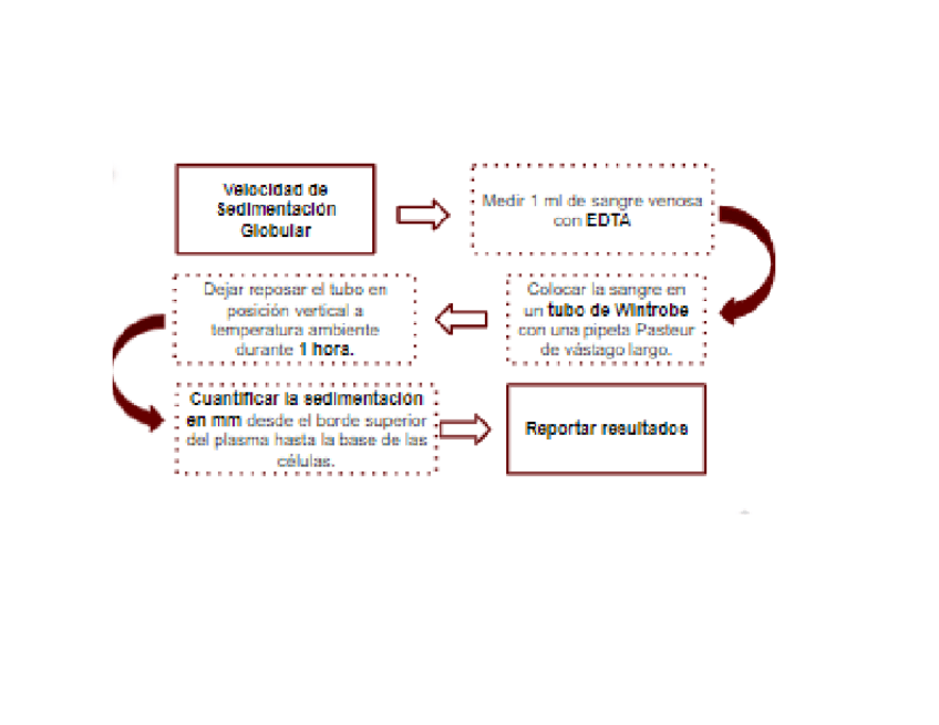 Miniatura del documento Velocidad-de-sedimentacion-globular.pdf