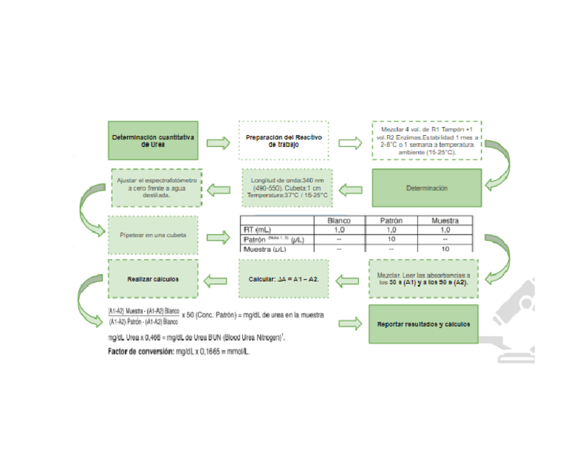 Miniatura del documento Determinacion-Urea.pdf