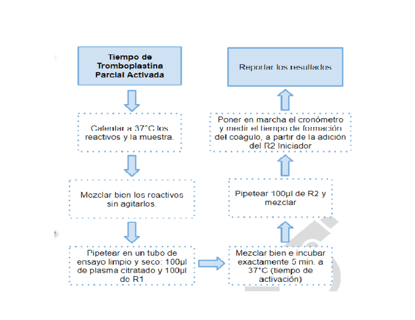 Miniatura del documento Tiempo-de-tromboplastina-parcial-activado.pdf
