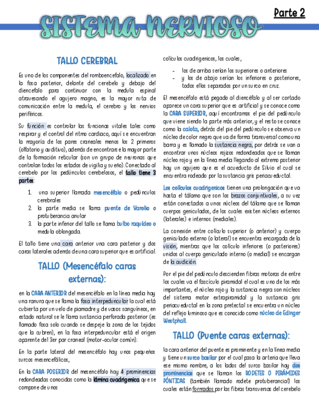 Miniatura del documento SISTEMA-NERVIOSO-PARTE-2.pdf