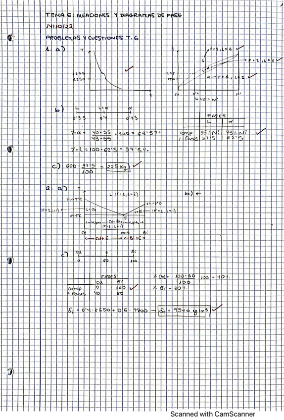 Miniatura del documento Ciencia-materiales-T.6.pdf