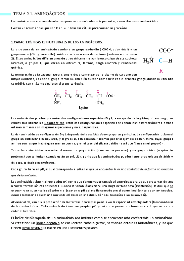 Miniatura del documento Tema-2.1.pdf