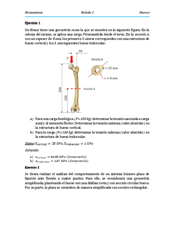 Miniatura del documento Boletin-2.pdf