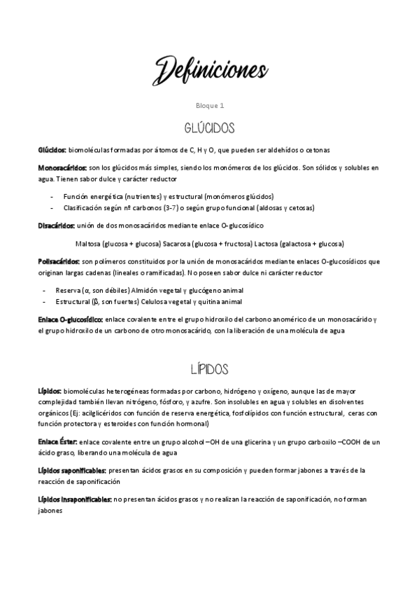 Miniatura del documento Definiciones.pdf
