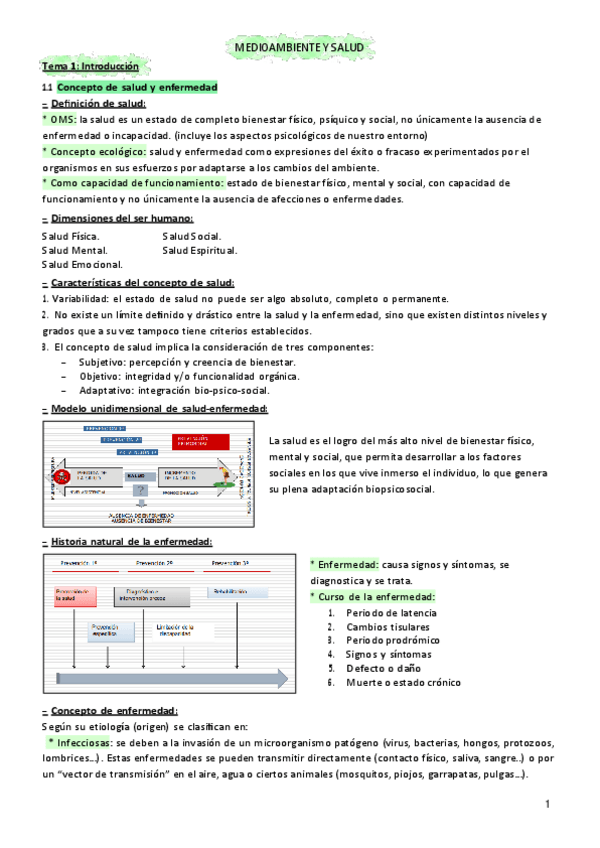 Miniatura del documento TEORIA-MEDIO-AMBIENTE.pdf