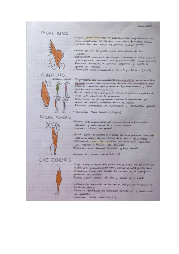 Miniatura del documento cuaderno-anatomia-5.pdf