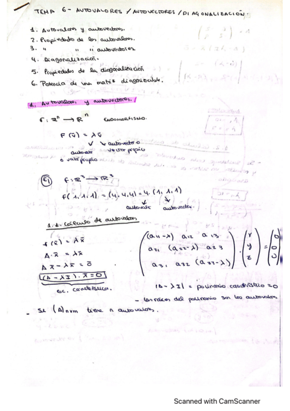 Miniatura del documento Tema-6.-Autovalores-Autovectores-Diagonalizacion-ejercicios-y-apuntes..pdf
