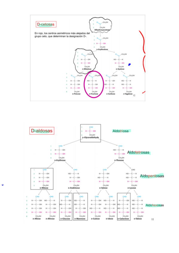 Miniatura del documento ESQUEMAS-BIOQUIMICA-ESTRUCTURAL.pdf