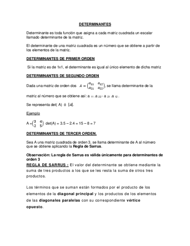 Miniatura del documento APUNTE-DETERMINANTE-Y-MATRIZ-INVERSA.pdf