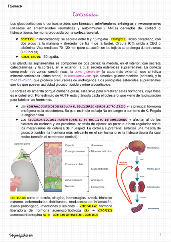 Miniatura del documento Corticoides-y-terapias-biologicas.pdf