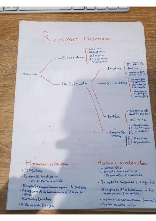 Miniatura del documento Resumen-Hormonas-Sistema-Endocrino.pdf