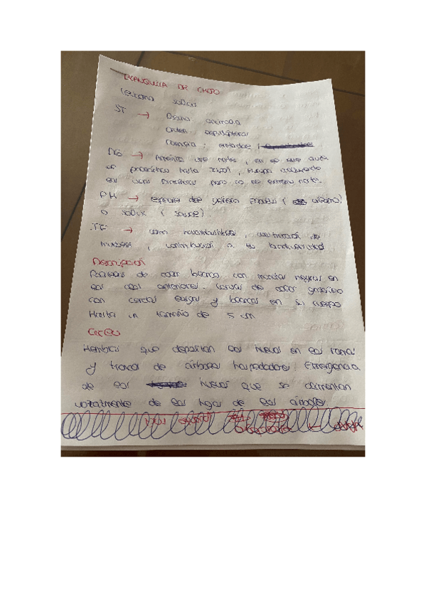 Miniatura del documento ficha-de-plagas.pdf