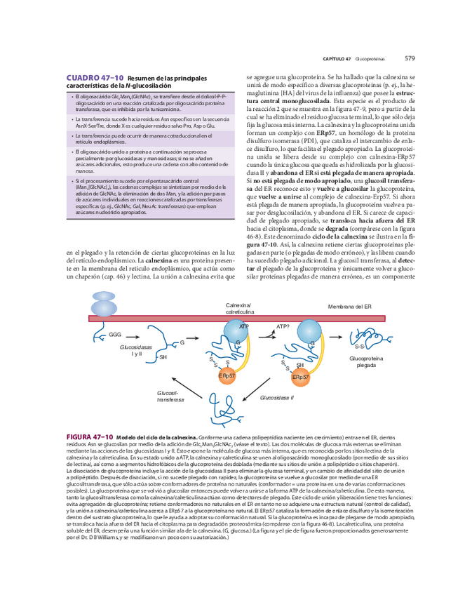 Miniatura del documento biomed-83.pdf