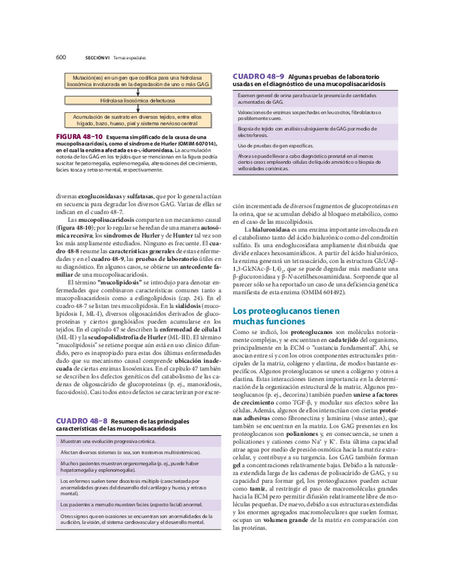 Miniatura del documento biomed-86.pdf