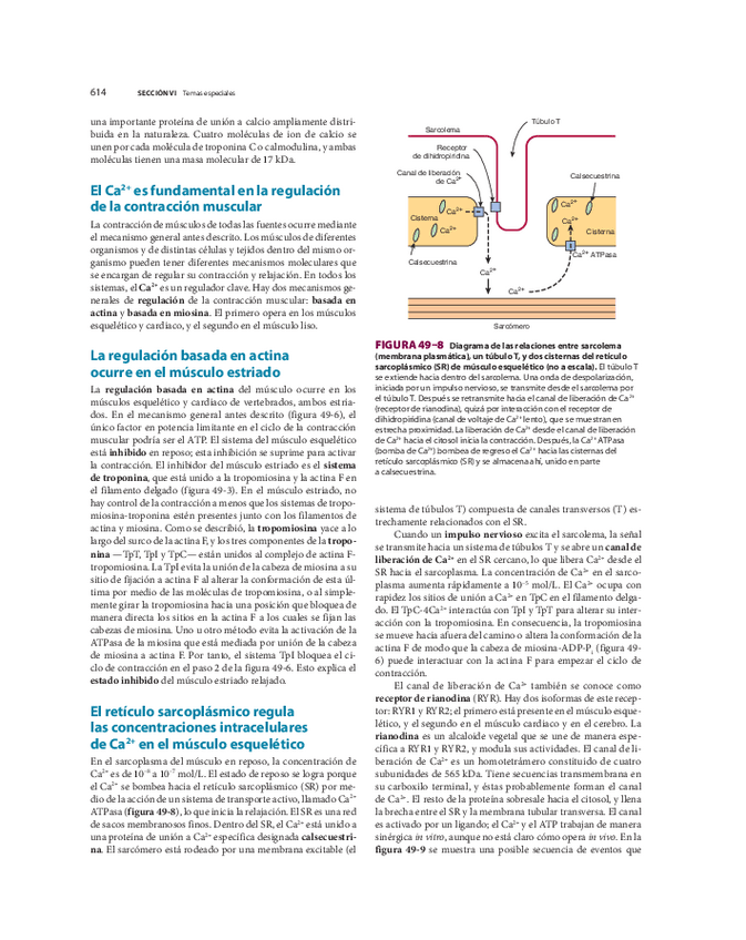 Miniatura del documento biomed-88.pdf