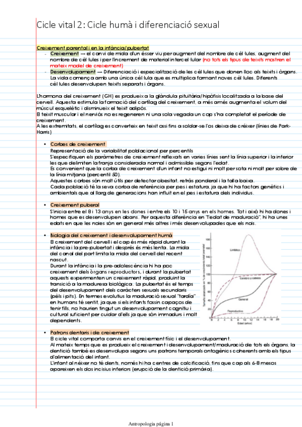 Miniatura del documento Cicle-vital-2-Cicle-huma-i-diferenciacio-sexual.pdf