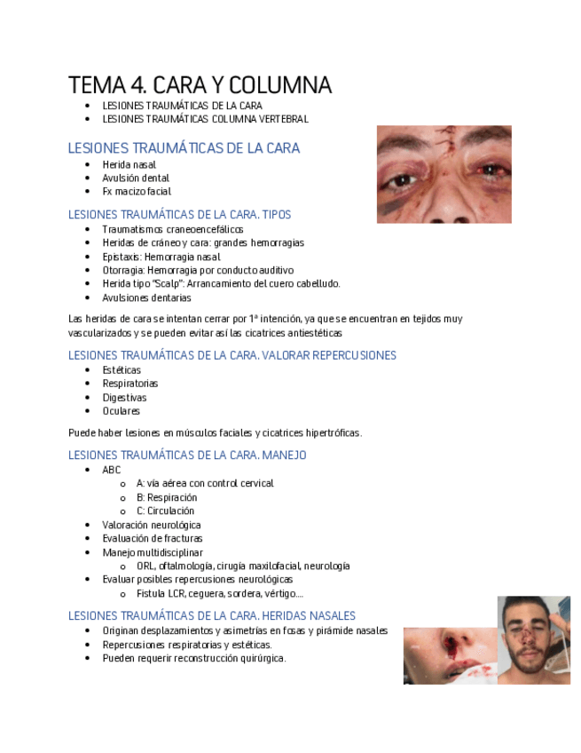 Miniatura del documento TEMA-4-CARA-Y-COLUMNA.pdf