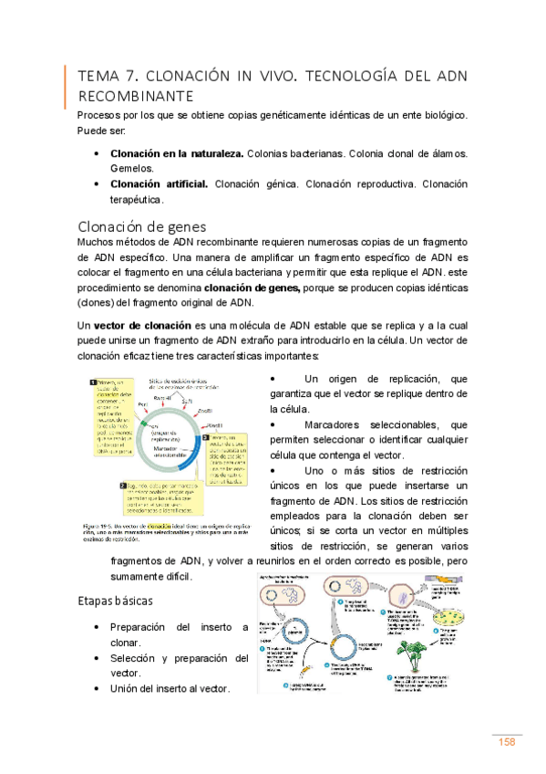 Miniatura del documento Tema-7.pdf