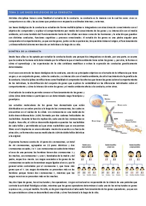 Miniatura del documento Tema-2.pdf