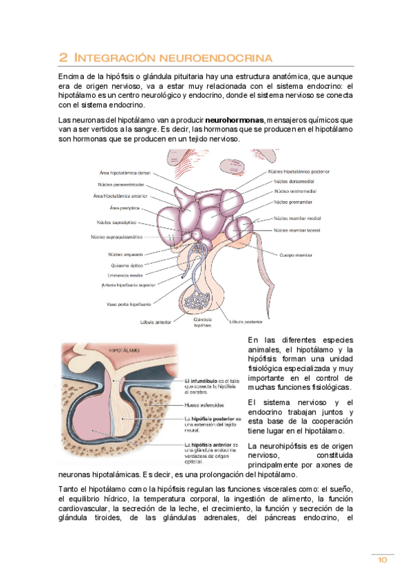 Miniatura del documento Tema-2.pdf