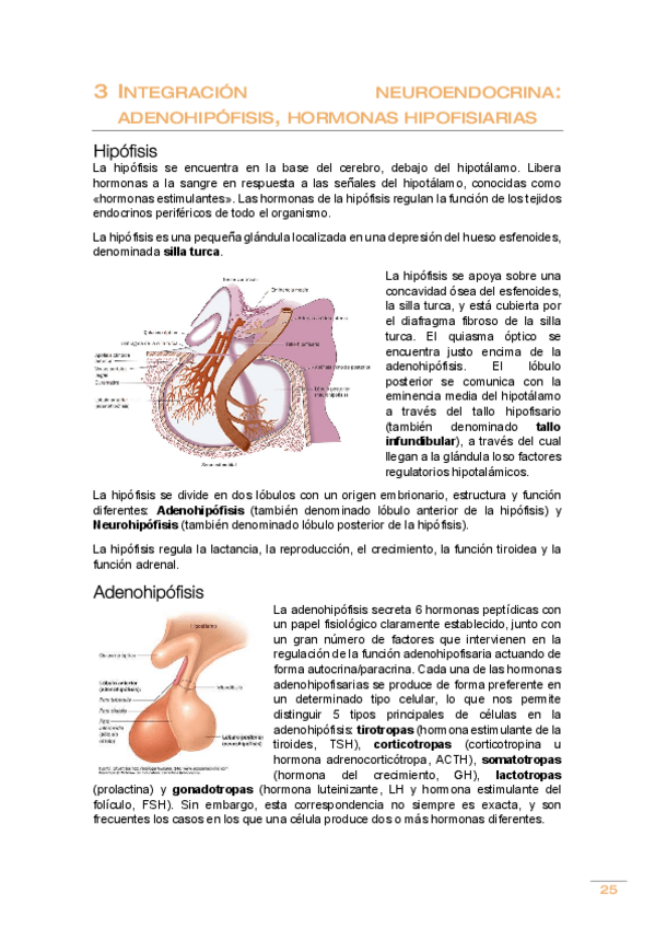 Miniatura del documento Tema-3.pdf