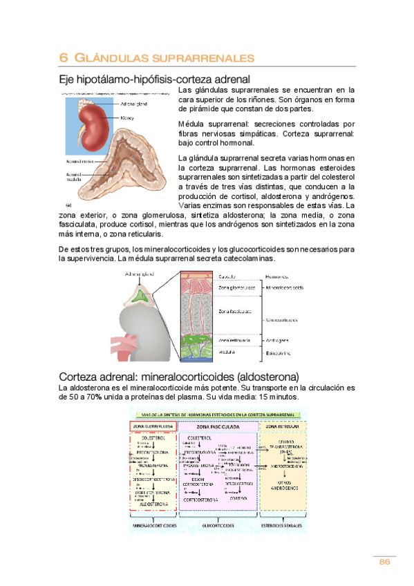 Miniatura del documento Tema-6.pdf