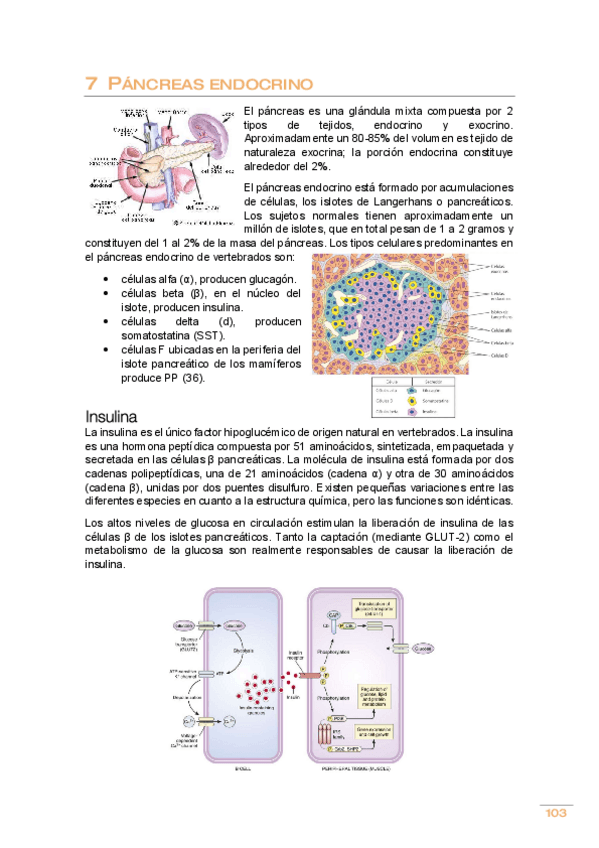 Miniatura del documento Tema-7.pdf