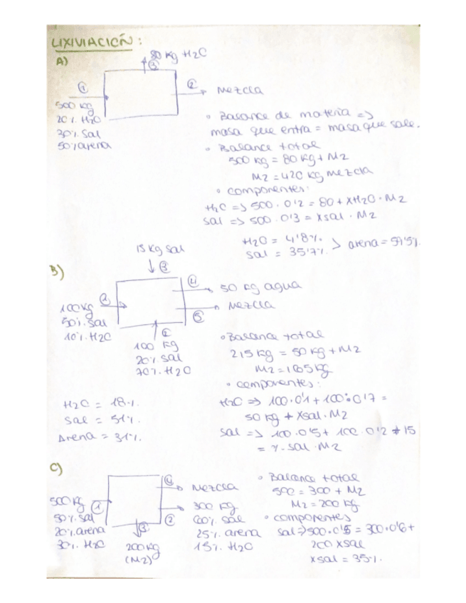 Miniatura del documento lixiviacion.pdf