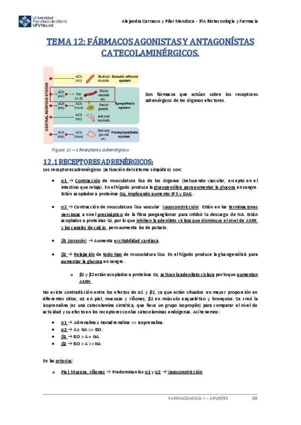 Miniatura del documento Tema-12-Farmacologia.pdf