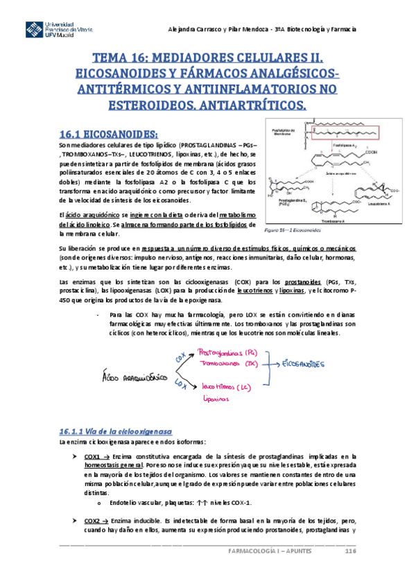 Miniatura del documento Tema-16-Farmacologia.pdf