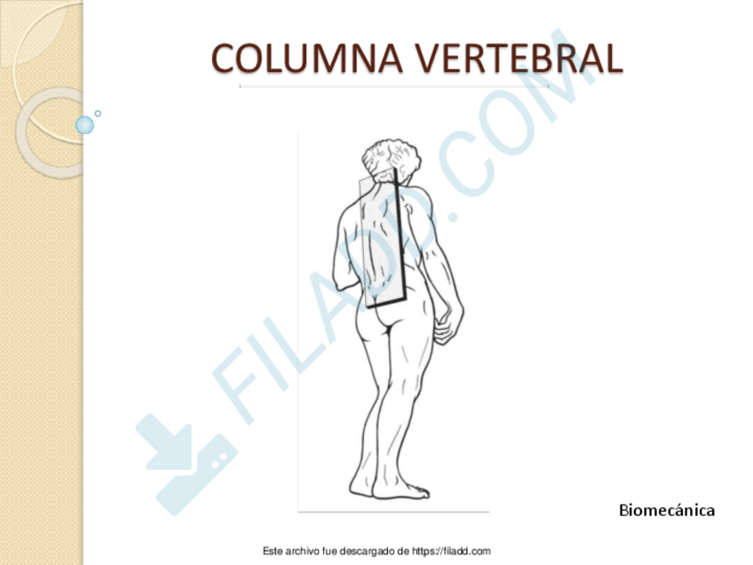 Miniatura del documento TEMAS-BIOMEDICA-TODO.pdf