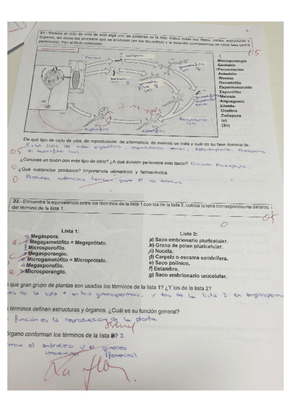 Miniatura del documento images-2.pdf