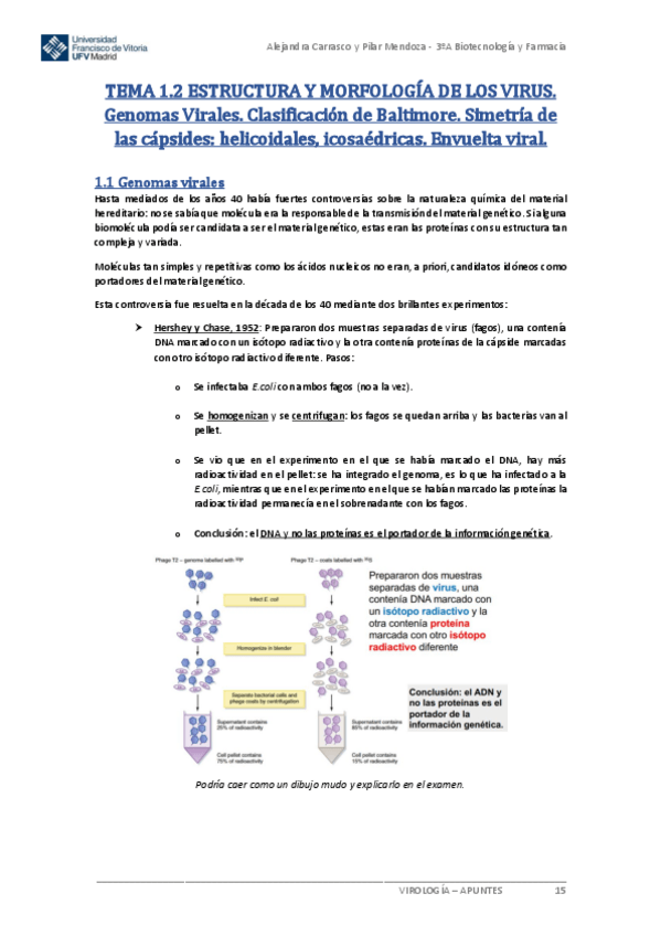 Miniatura del documento Tema-1.2-Virologia.pdf