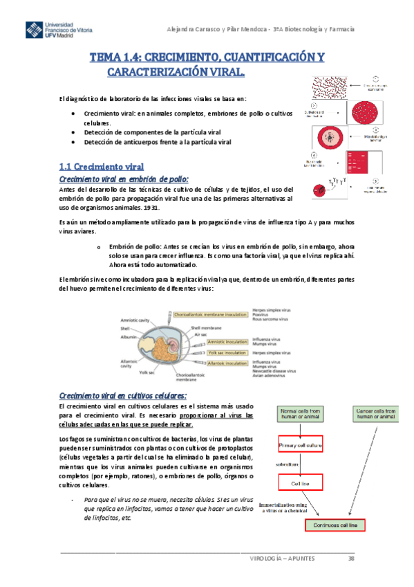 Miniatura del documento Tema-1.4-Virologia.pdf