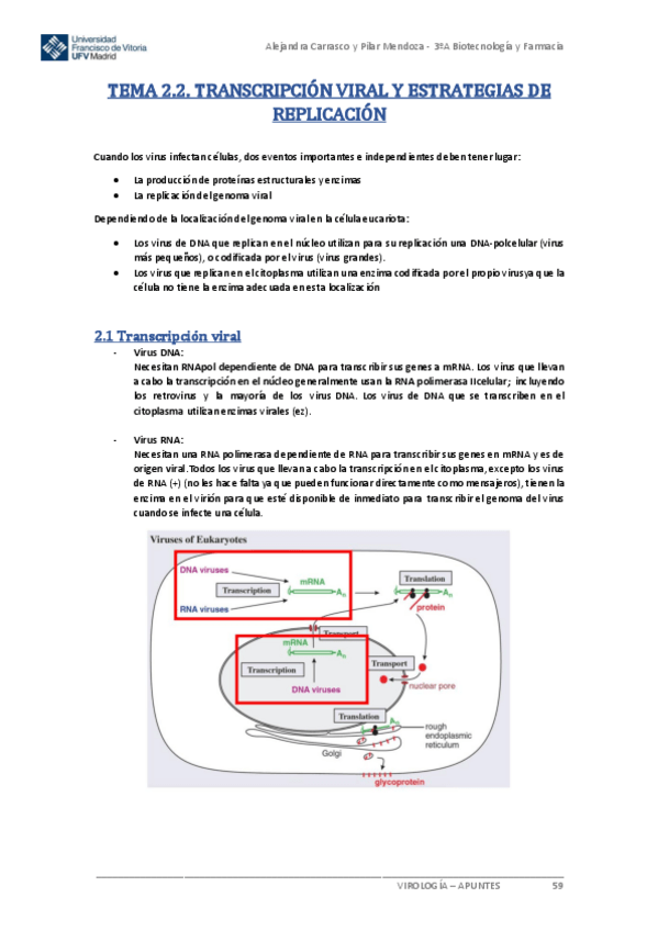 Miniatura del documento Tema-2.2-Virologia.pdf