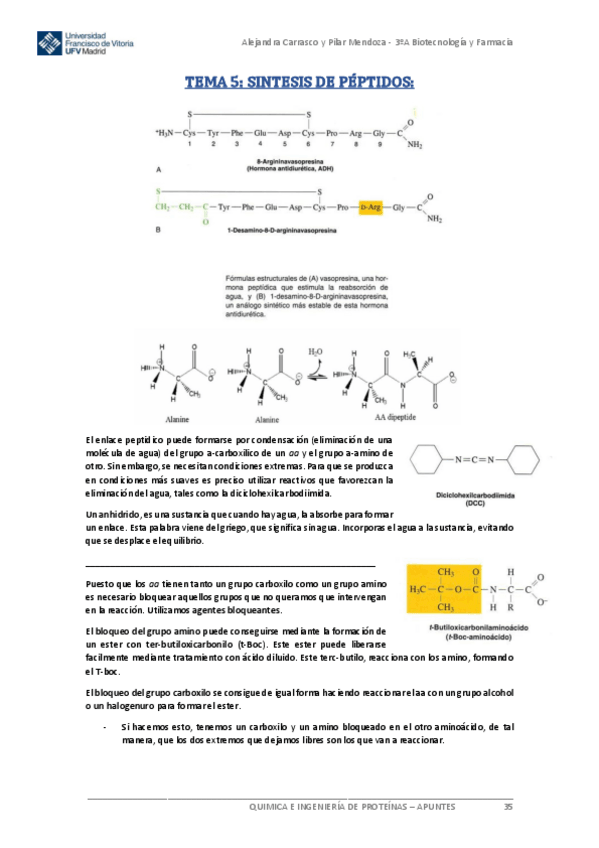 Miniatura del documento Tema-3Sintesis-de-PeptidosQUIP.pdf