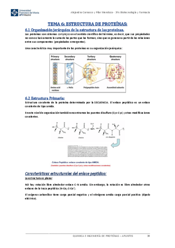Miniatura del documento Tema-4Estructura-de-ProteinasQUIP.pdf