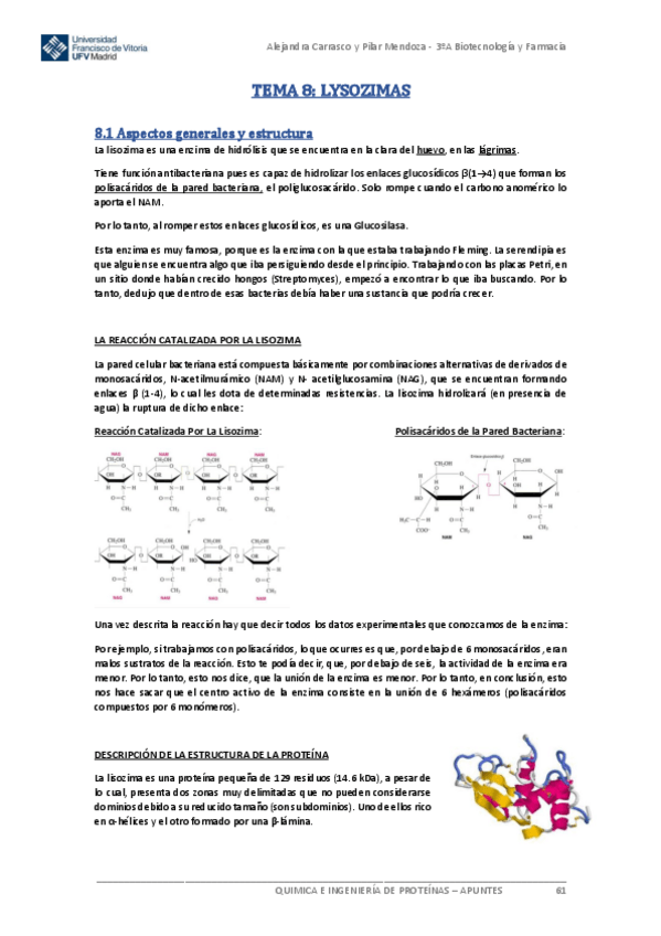 Miniatura del documento Tema-6LisozimaQUIP.pdf
